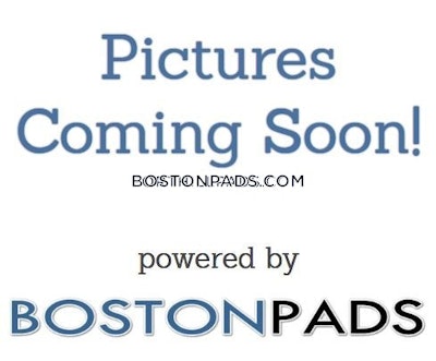 Allston 3 Beds 2 Baths Boston - $4,400