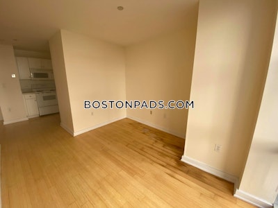 Downtown 1 Bed 1 Bath BOSTON Boston - $2,995 No Fee