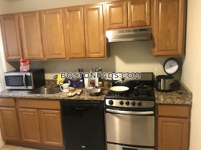 Allston/brighton Border Apartment for rent Studio 1 Bath Boston - $2,050