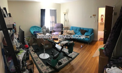 Brighton 2 Beds 1 Bath Boston - $2,900