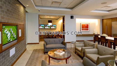 Downtown 1 Bed 1 Bath Boston - $4,337