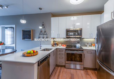 East Boston 1 Bed 1 Bath Boston - $2,812