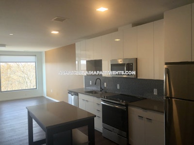 Jamaica Plain Apartment for rent 2 Bedrooms 2 Baths Boston - $4,200 No Fee