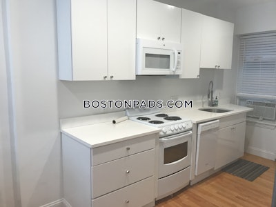 Northeastern/symphony Apartment for rent 1 Bedroom 1 Bath Boston - $3,000