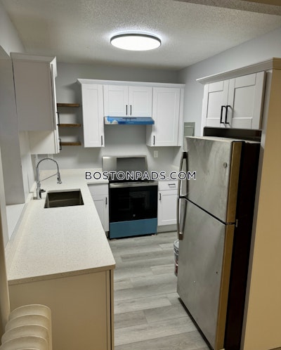 Brighton Apartment for rent 2 Bedrooms 1 Bath Boston - $2,495 No Fee