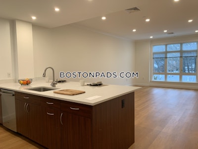 Brookline Apartment for rent 1 Bedroom 1 Bath  Chestnut Hill - $3,440 No Fee