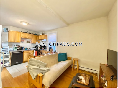 Northeastern/symphony Apartment for rent 4 Bedrooms 1 Bath Boston - $4,500