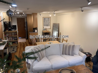 South End Apartment for rent 1 Bedroom 1 Bath Boston - $3,750