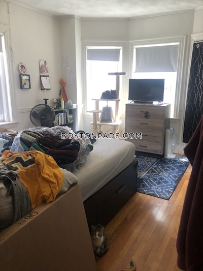 Somerville Apartment for rent 4 Bedrooms 1 Bath  Winter Hill - $4,100