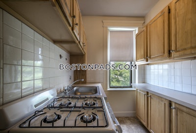 Allston Apartment for rent 1 Bedroom 1 Bath Boston - $2,050 No Fee