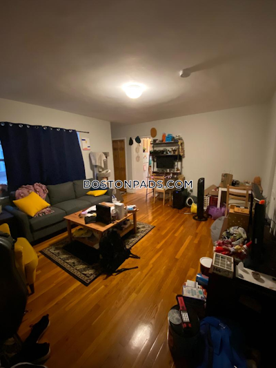 Brighton Apartment for rent 1 Bedroom 1 Bath Boston - $2,400