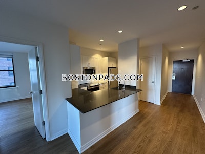 Downtown Apartment for rent 2 Bedrooms 2 Baths Boston - $4,338