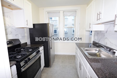 Brighton Apartment for rent 1 Bedroom 1 Bath Boston - $2,400